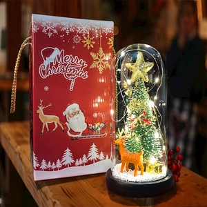 Close-up of a Christmas tree in a glass dome with LED lights and a red gift box
