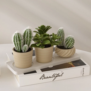 Drei Miniatur-Sukkulenten und Kakteen in beigen Harztöpfen auf einem minimalistischen Tablett
