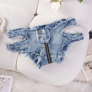 Flachbild von niedrig geschnittenen Jeans-Shorts mit Metallknöpfen und Fransen