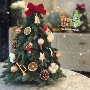 Mini Christmas Tree Artificial Nobilis Fir Pinecones Cinnamon DIY Tabletop Decoration Ins Style Nordic Holiday Decor