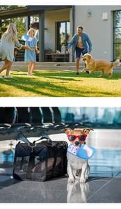 Slipper-shaped plush pet toy for treat sniffing and slow feeding shown in a travel carrier