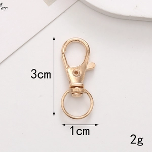Detail of golden zinc alloy spring lobster clasp with dimensions 3cm height and 2g weight