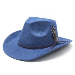 Detail of blue faux suede cowboy hat featuring wide brim and decorative guinea feather