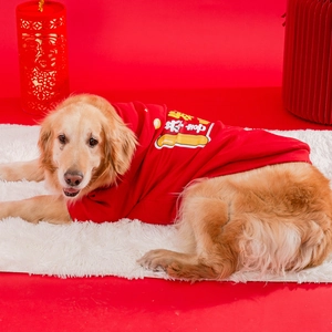Festive red pet hoodie for large dogs with Chinese New Year auspicious prints