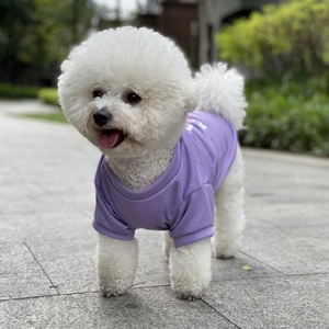Detailed view of the soft purple cotton pet t-shirt on a white dog in an outdoor setting