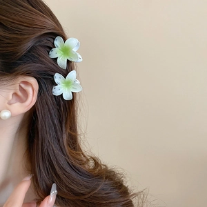 Detail view of two pieces gradient white and green flower hair claws on hair