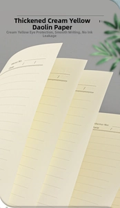 Macro view of thick cream-colored Daolin paper with lined layout and memo header
