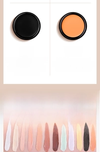 Multi-color concealer palette swatches showing 11 black shading and 12 bright orange tones