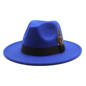 Macro shot of royal blue wool fedora hat with black ribbon and natural feather detail