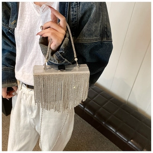 Detailed view of silver rhinestone tassel evening bag with large pearl handles and chain
