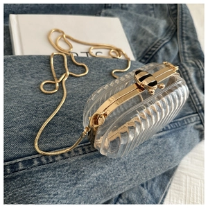 Detailed shot of acrylic mini box bag with golden bee clasp and snake chain strap