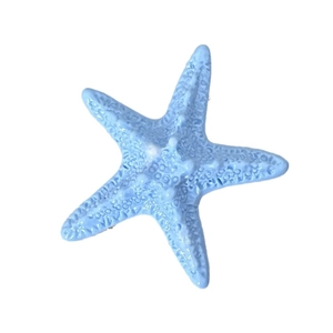 Cute light blue starfish hair clip with realistic texture for a summer holiday look