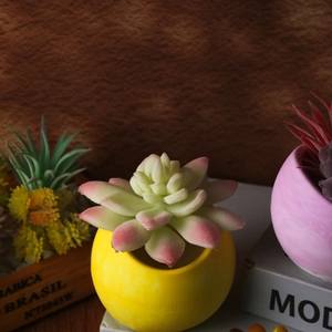 Primo piano di una succulenta in un vaso giallo rotondo su sfondo di legno
