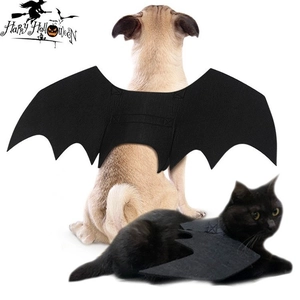 Halloween bat wings costume for cats and large dogs made of stiff black felt material