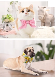Détails de bandanas rafraîchissants pour animaux avec motifs à pois rose et animaux