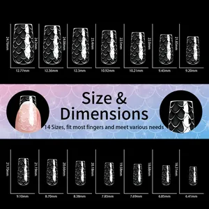 Guide des tailles pour 14 ongles 3D amande effet écailles avec dimensions détaillées