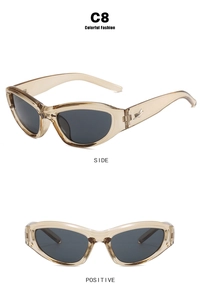 Detail view of champagne cat-eye sunglasses with star metal accent and dark grey lenses