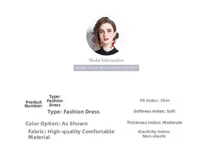 Size chart for lace patchwork dress with lantern sleeves and model measurement details