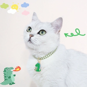 Detail of green plaid pet collar with cute dinosaur pendant on a white cat