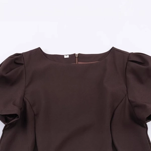 Robe courte plissée marron foncé avec manches bouffantes et fermeture éclair au dos