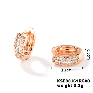 Detail of rose gold micro-pave zircon hoop earrings showing 1.2cm x 0.5cm dimensions