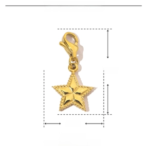 Vista dettagliata dei parametri di un ciondolo a stella d'oro, misure 24mm x 12mm