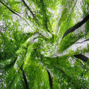 Vista dettagliata del morbido tessuto dell'arazzo forestale con stampa verde nitida e trama