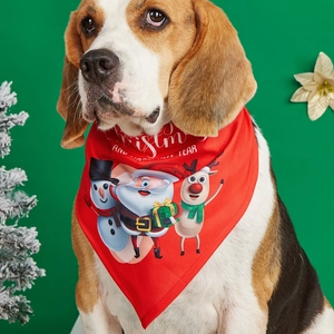 Close-up of red Christmas pet bandana with Santa and reindeer prints on a dog