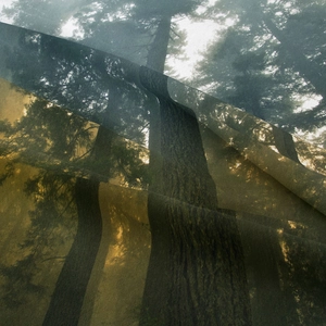 Vista dettagliata della trama fine tessuta e della stampa della foresta nebbiosa dell'arazzo