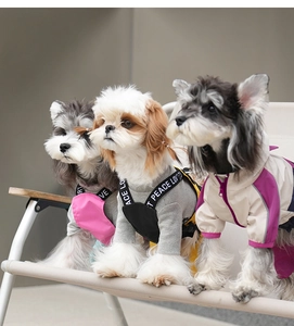 Three small dogs on a camping chair wearing waterproof vests and outdoor strap jumpsuits