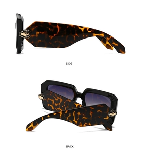 Detail view of tortoiseshell frames with a luxury golden snake head metal decoration