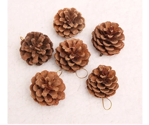 Detail of six natural brown pine cones with gold hanging strings for Christmas decor