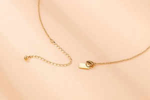 Détail du fermoir mousqueton doré avec chaîne de réglage sur un collier en acier