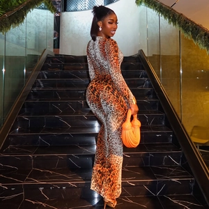 Elegant leopard print slim-fit long sleeve maxi dress featuring a round neckline