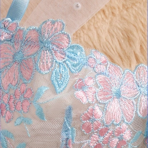 Detailed macro view of delicate pink and blue floral embroidery on sheer mesh lace