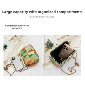Internal capacity detail of contrast shell bag showing space for smartphone and items