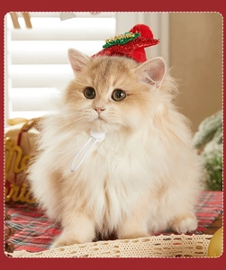 Gros plan d'un bonnet de Noël rouge pour animaux avec sapin en paillettes et lanière