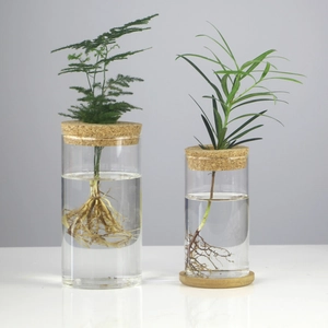 Detail of two clear glass hydroponic vases with cork lids and a round wooden base display