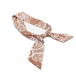 Close-up of silk-like brown paisley ribbon with smooth texture and vintage print