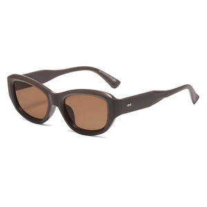 Retro cat-eye sunglasses with thick dark brown resin frames and tinted lenses for women