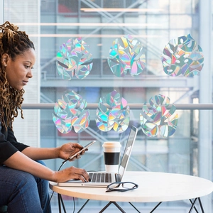 Rainbow prism window film showing monstera leaf decals on office glass with laser effect
