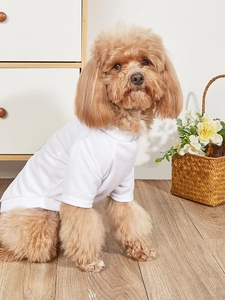 Close-up of white mesh breathable pet t-shirt with heart print on a brown poodle
