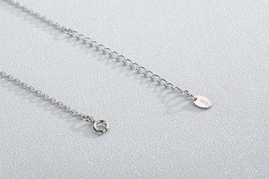 Macro shot of silver stainless steel chain with ASTRA brand tag and spring clasp detail