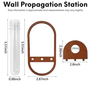 Minimalist wall hanging plant propagation station with oval wood frame and glass test tube