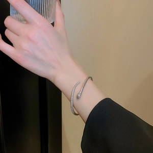 Minimalistische zilveren slangenarmband met schubtextuur om een vrouwelijke pols