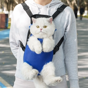 Detail of blue breathable mesh pet carrier backpack with adjustable nylon straps