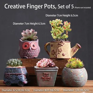5-piece creative ceramic succulent planter set featuring owl and vintage bus designs