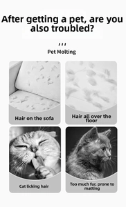 Detail showing pet hair on sofa and floor highlighting the need for cleaning tools