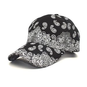 Paisley Print Baseball Cap Cotton Polyester Blend Curved Brim Adjustable Hip Hop Streetwear Sun Hat For Unisex