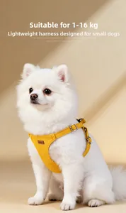 Detail of yellow fabric dog harness with metal buckle on a white Pomeranian dog